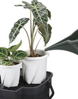 観葉植物 水やり “BUCKET”エンジョイ10型 バケツ ドレイニングトレイ バケツ+トレイセット 送料込み