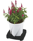 観葉植物 水やり “BUCKET”エンジョイ10型 バケツ ドレイニングトレイ バケツ+トレイセット 送料込み